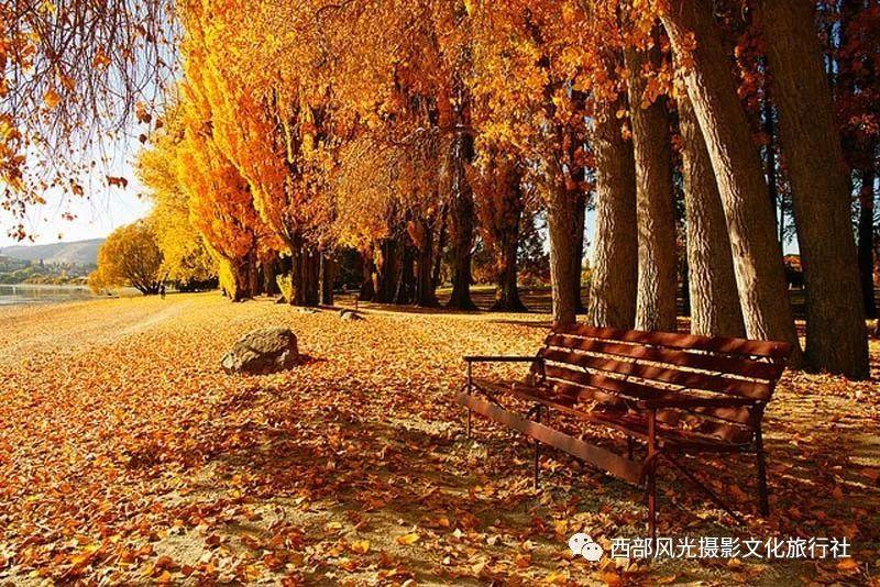 镇魔曲手游